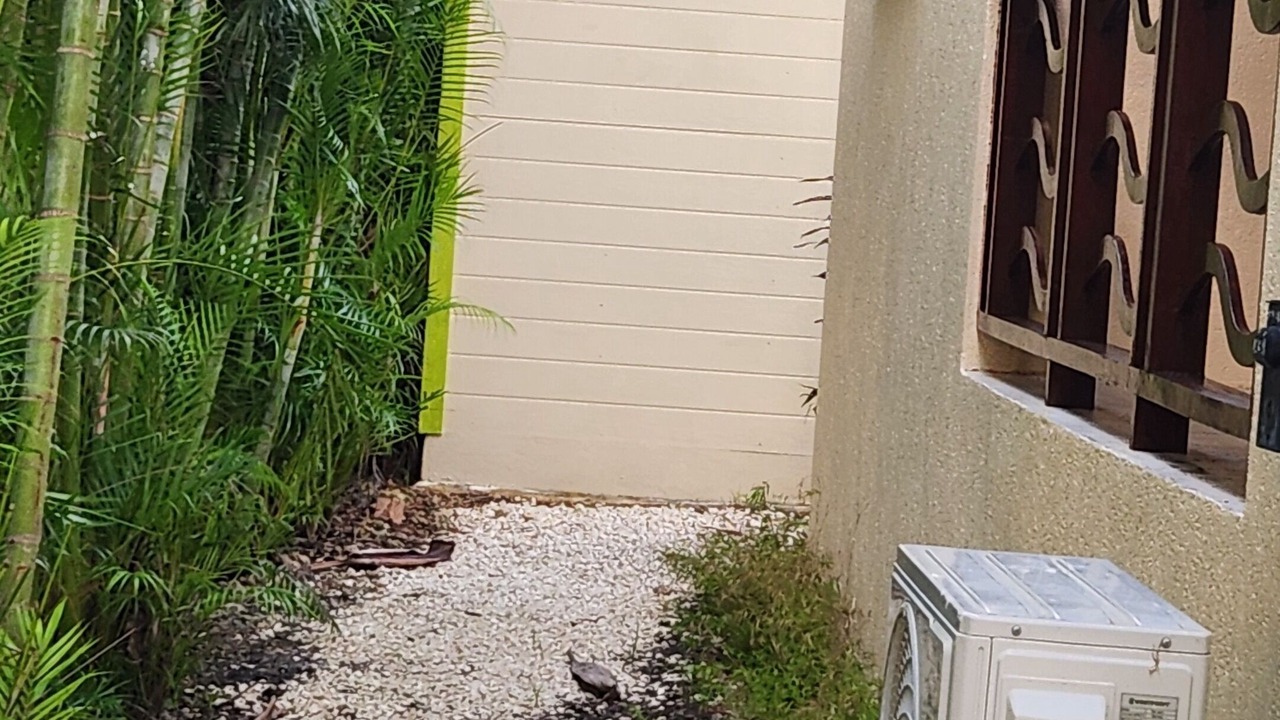 Photo of Outdoor in Retreat