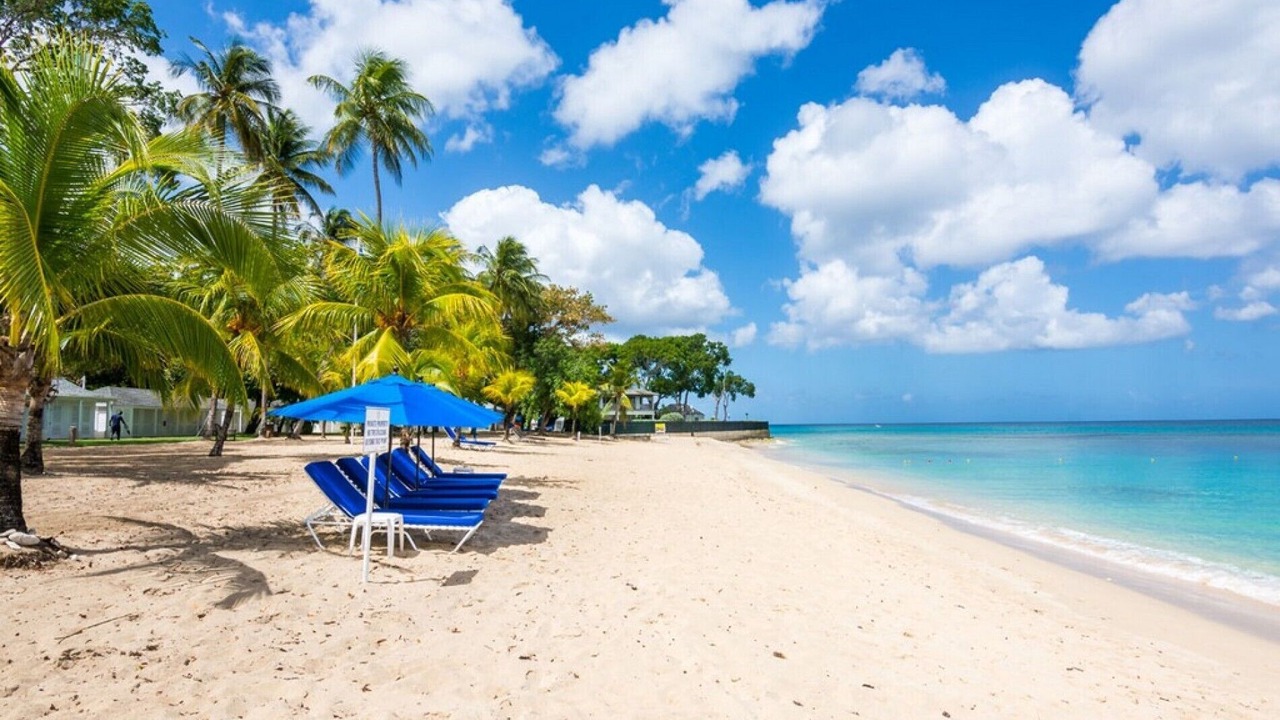 Photo of Others in Paynes Bay