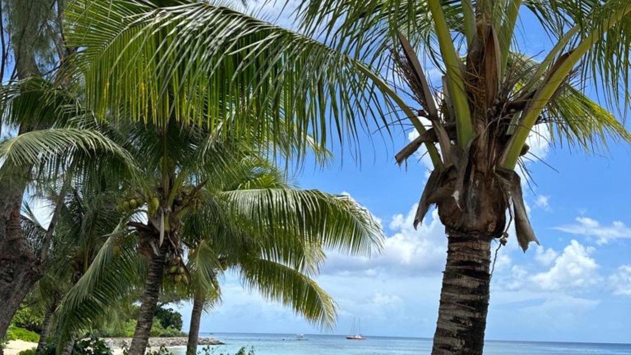Photo of Others in Sandy Lane