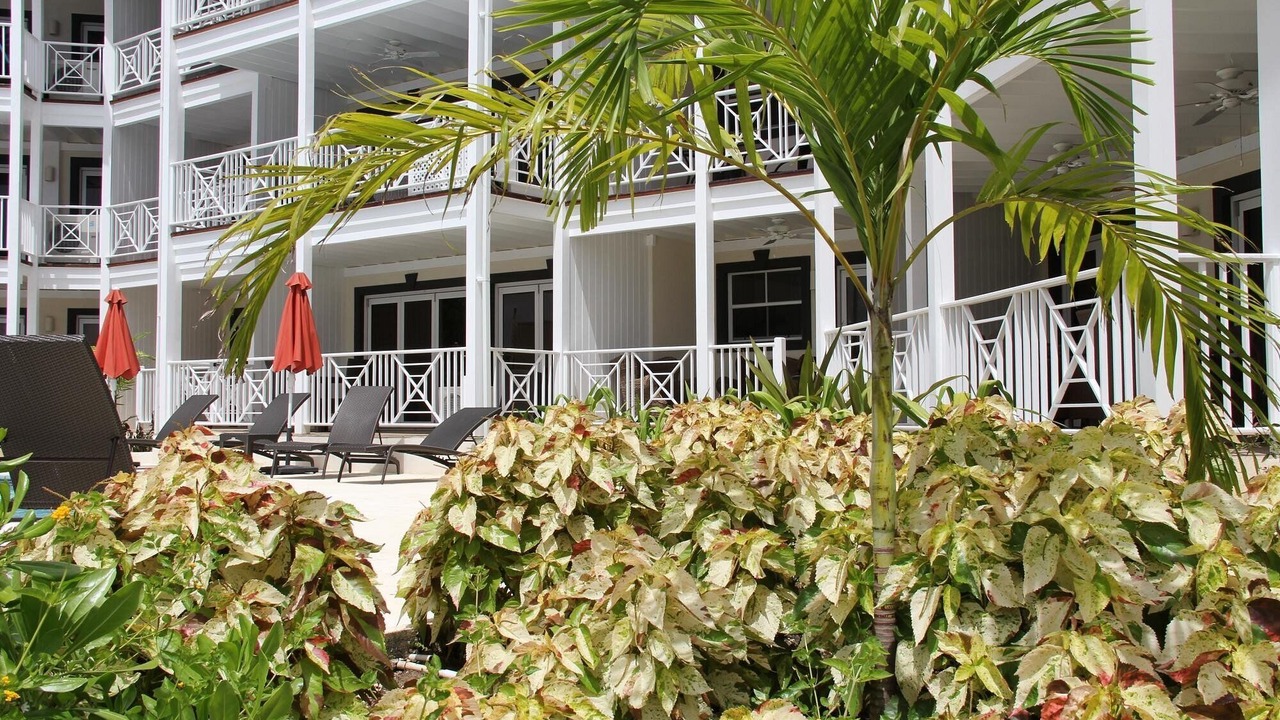 Photo of Outdoor in Weston