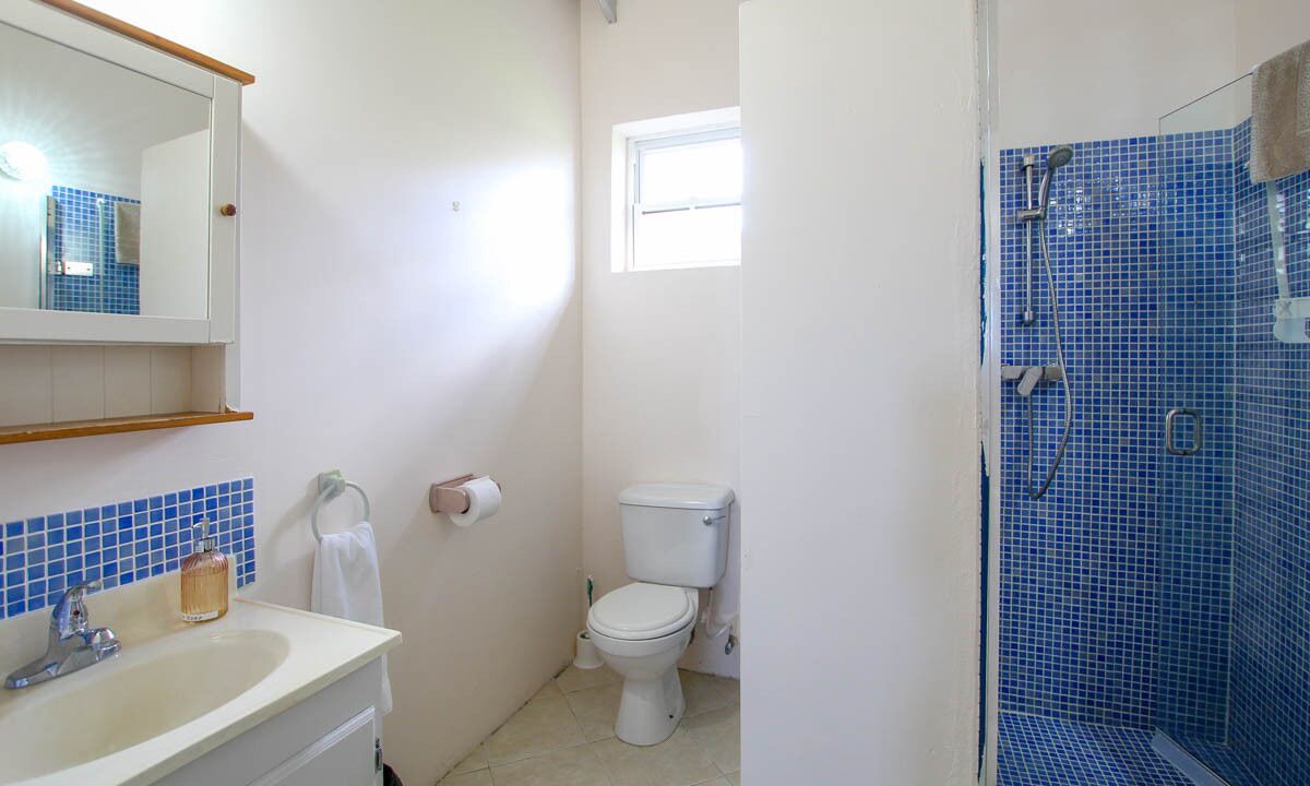 Photo of Bathroom in Speightstown