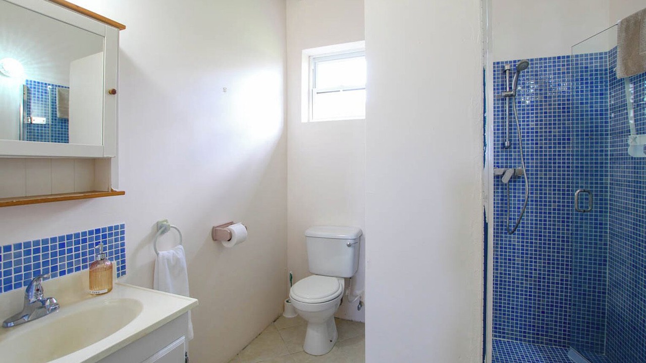 Photo of Bathroom in Speightstown