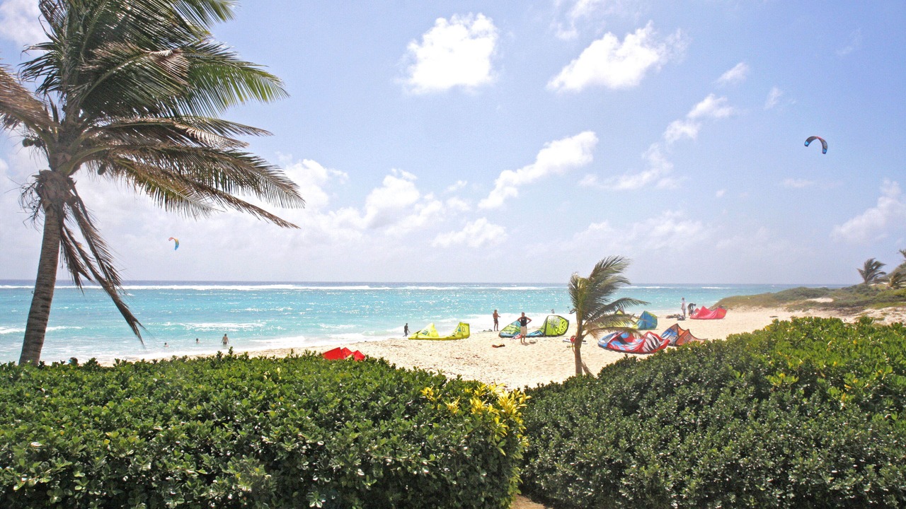 Photo of Others in Silver Sands
