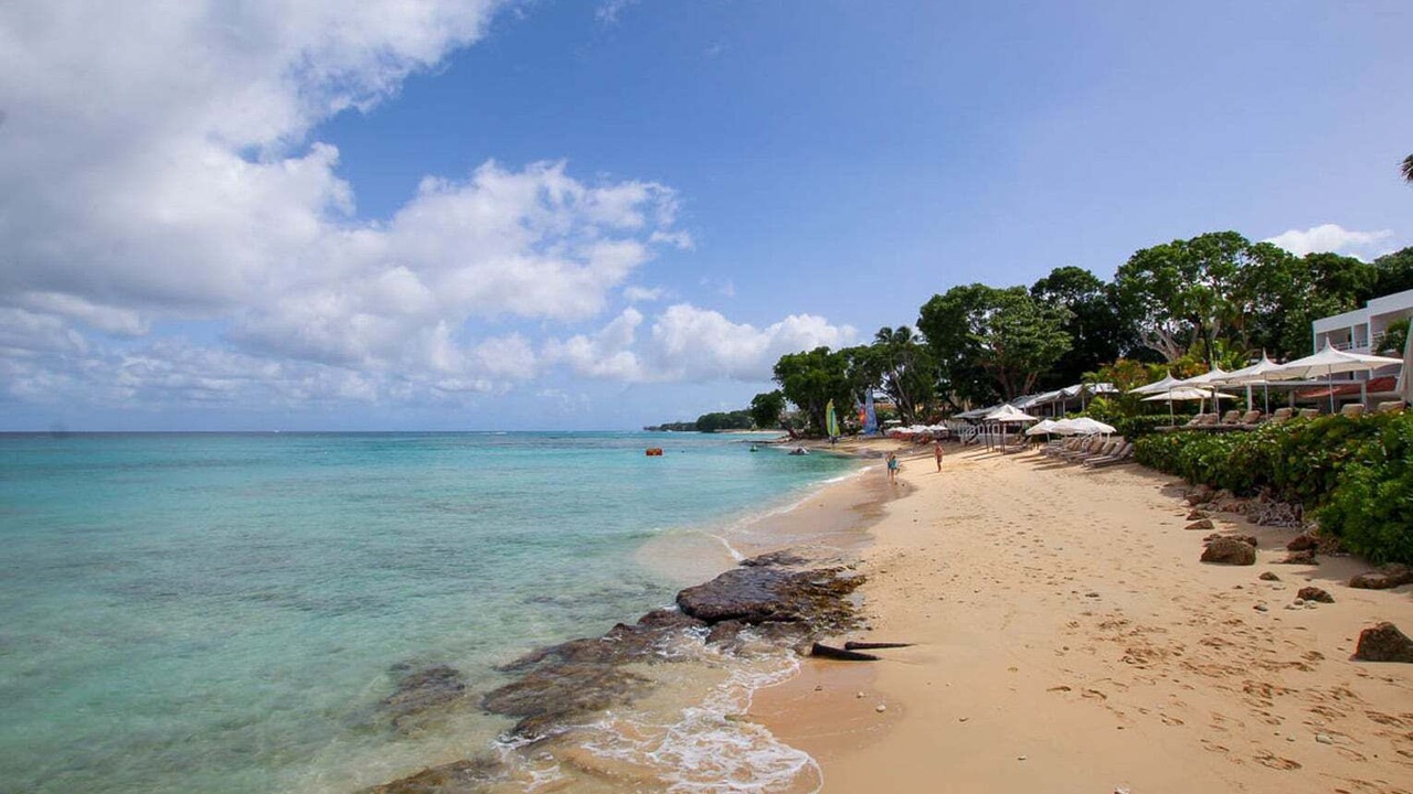 Photo of Others in Old Trees Bay