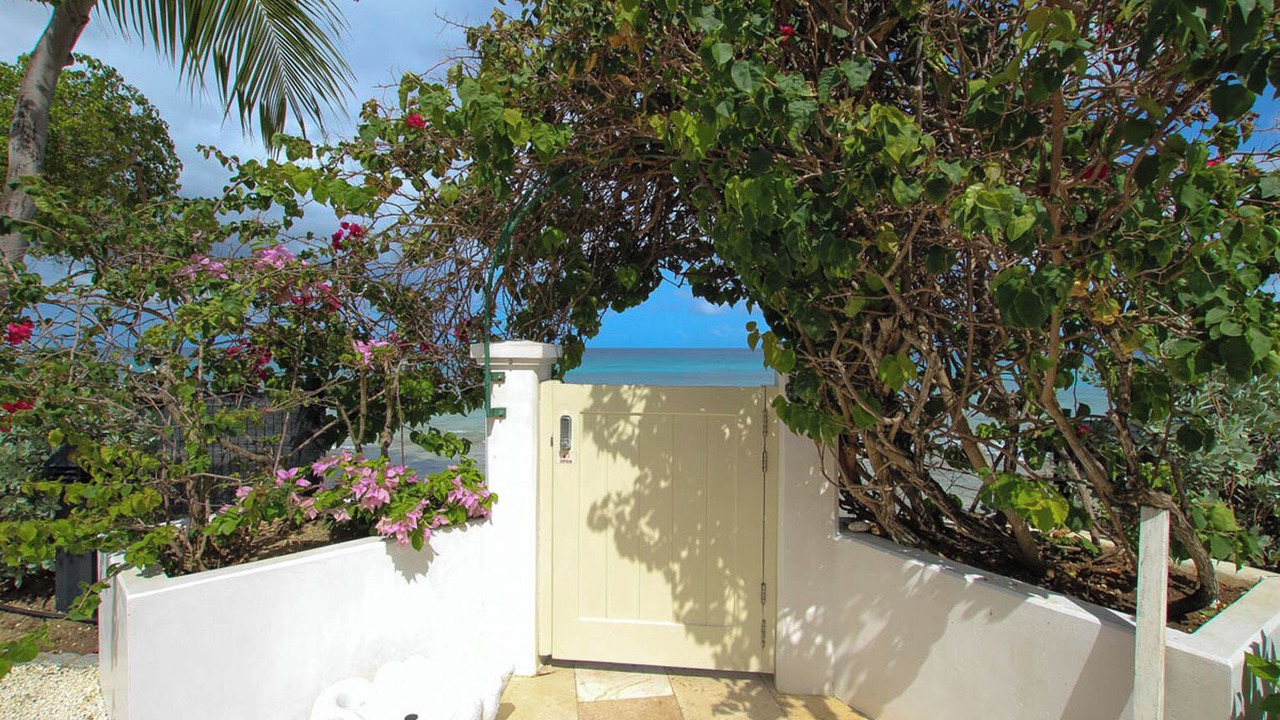 Photo of Outdoor in Old Trees Bay