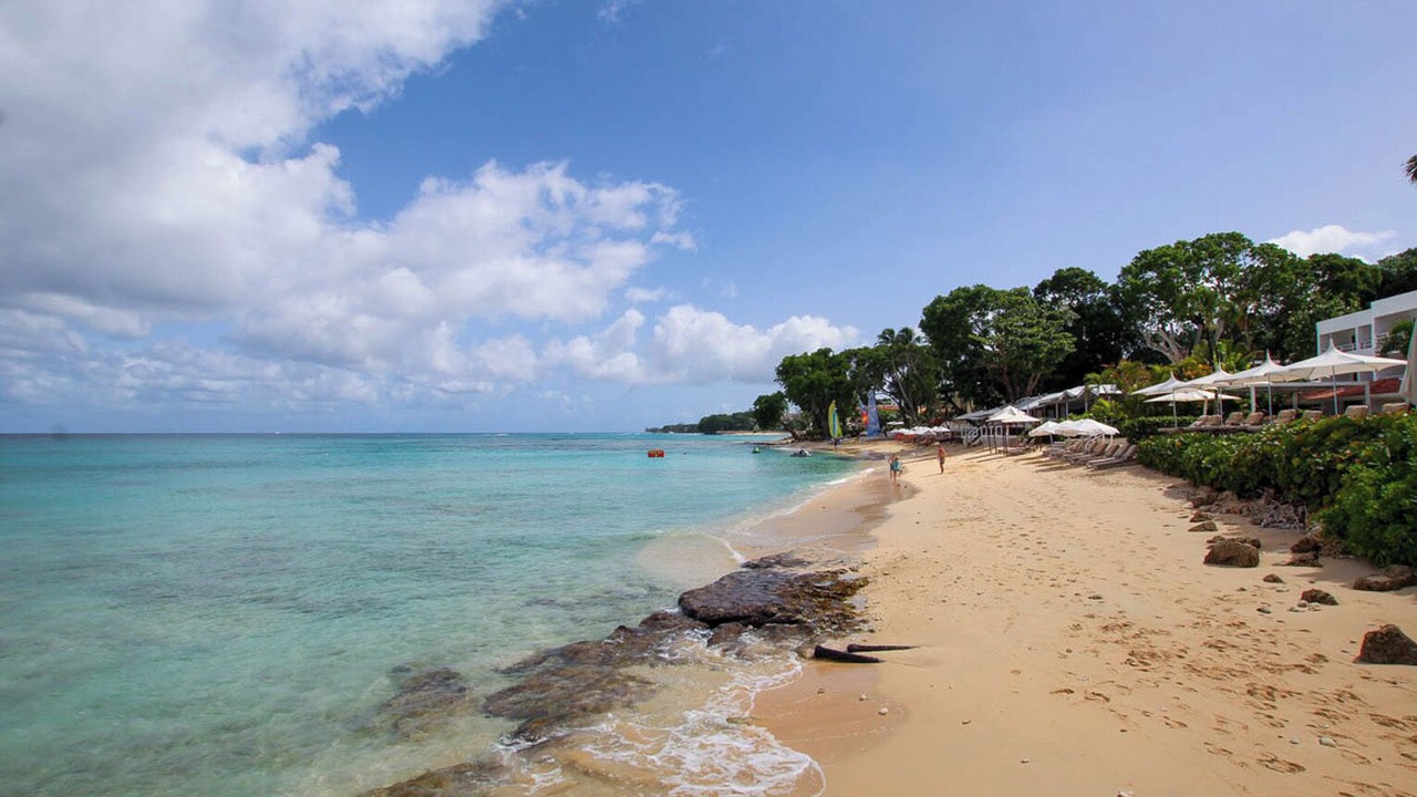 Photo of Others in Old Trees Bay