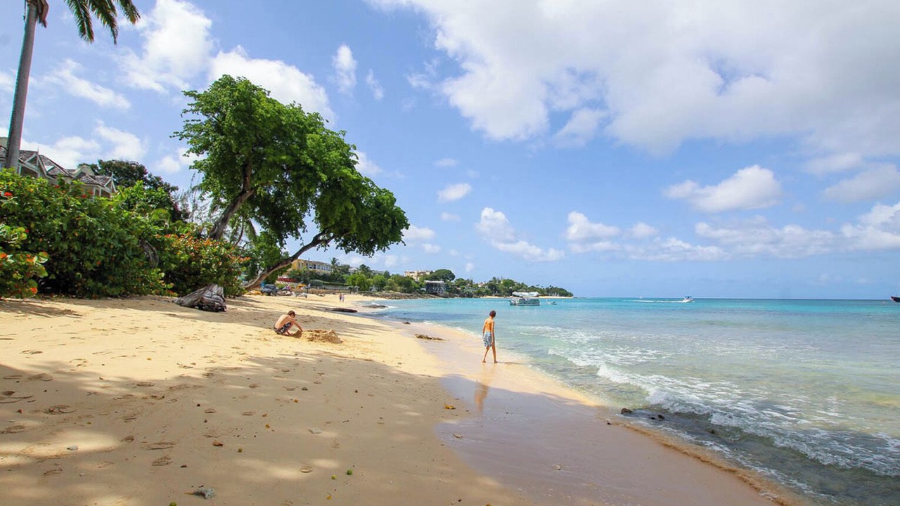 Photo of Others in Old Trees Bay