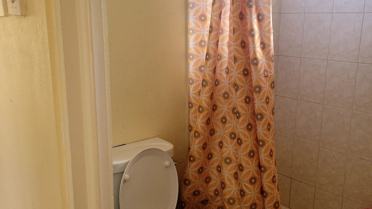 Photo of Bathroom in Bridgetown