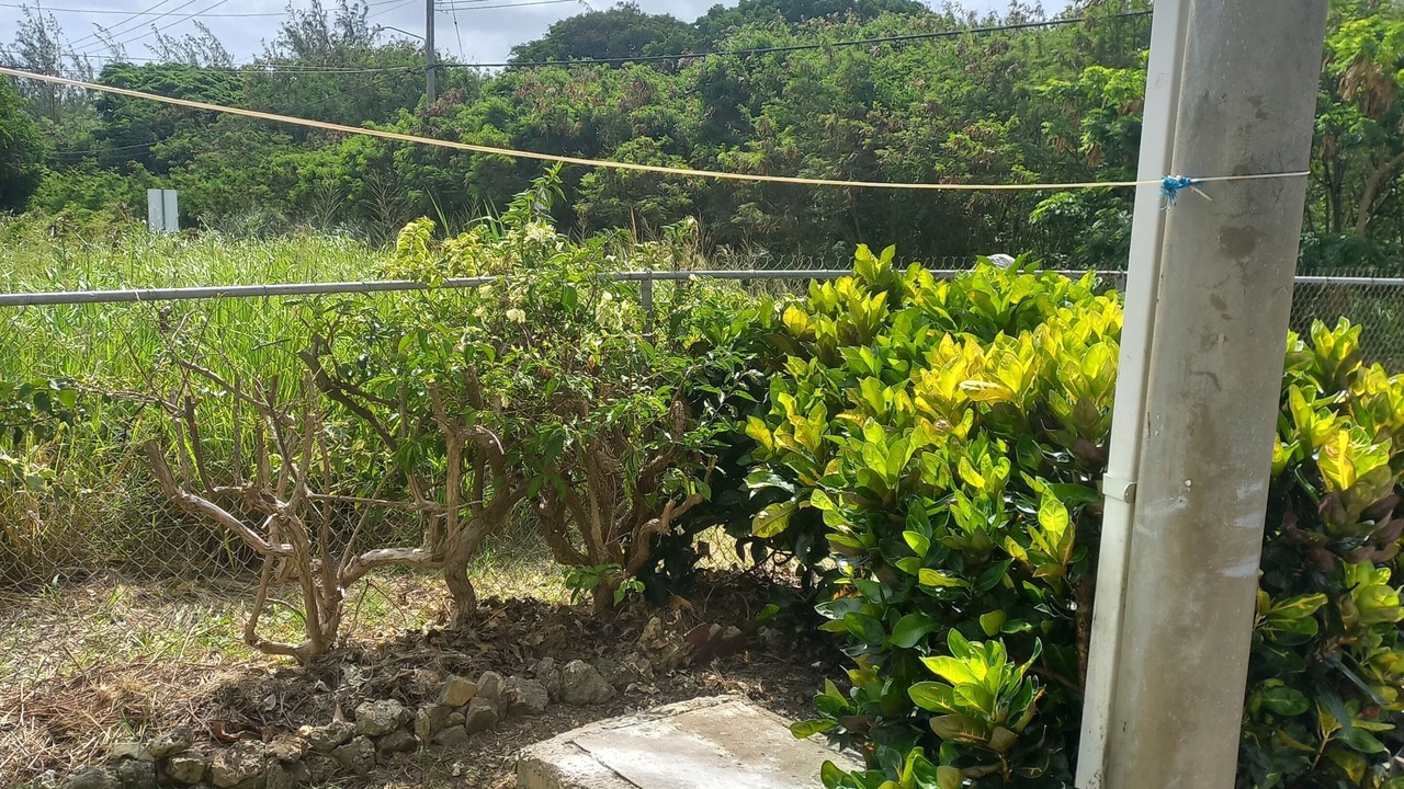 Photo of Outdoor in Retreat