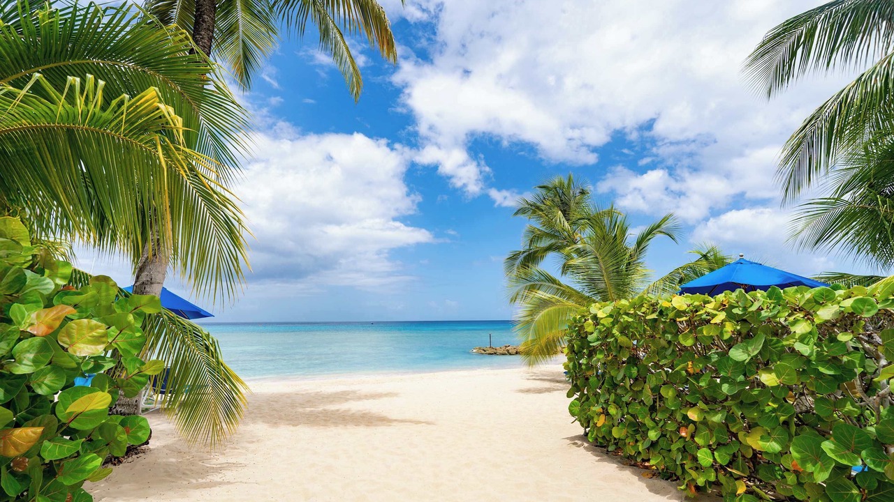 Photo of Others in Schooner Bay