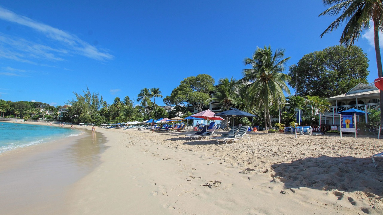 Photo of Others in Old Trees Bay