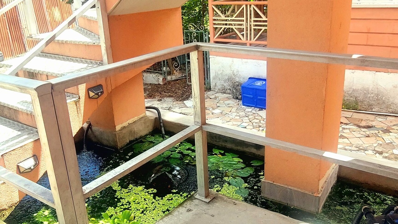 Photo of Outdoor in Bridgetown