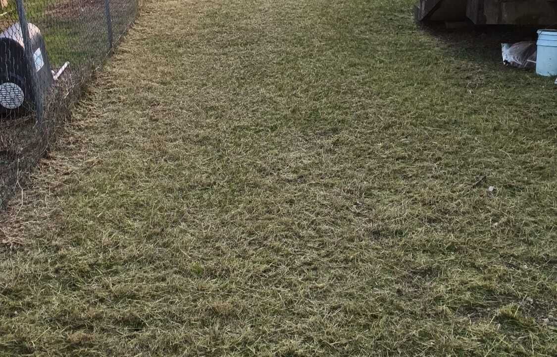 Photo of Outdoor in Speightstown