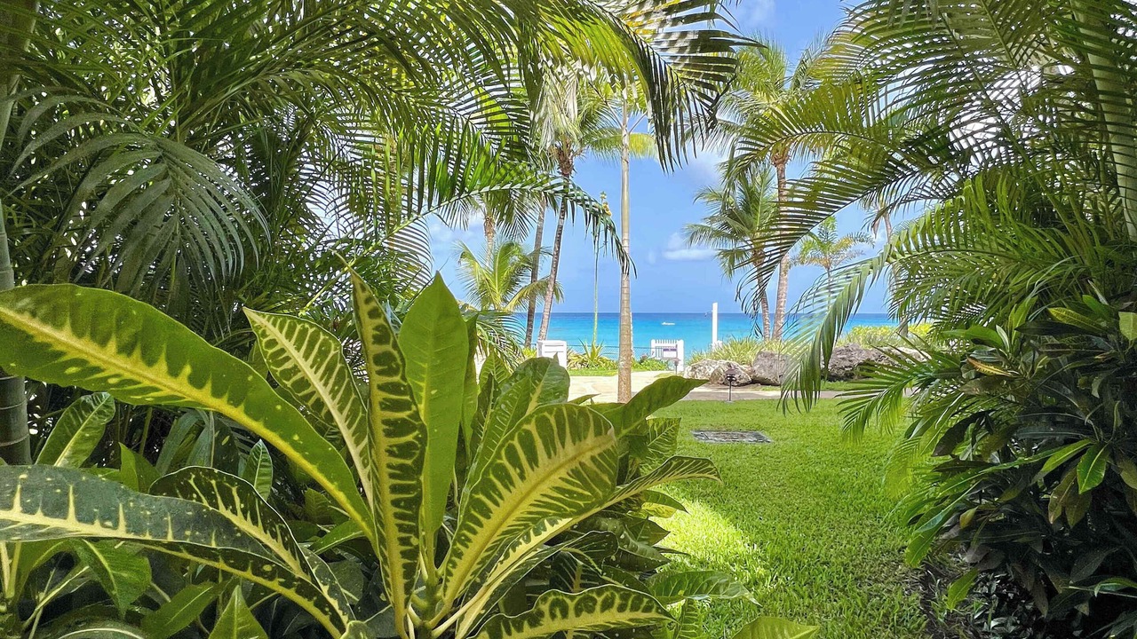 Photo of Outdoor in Little Battaleys