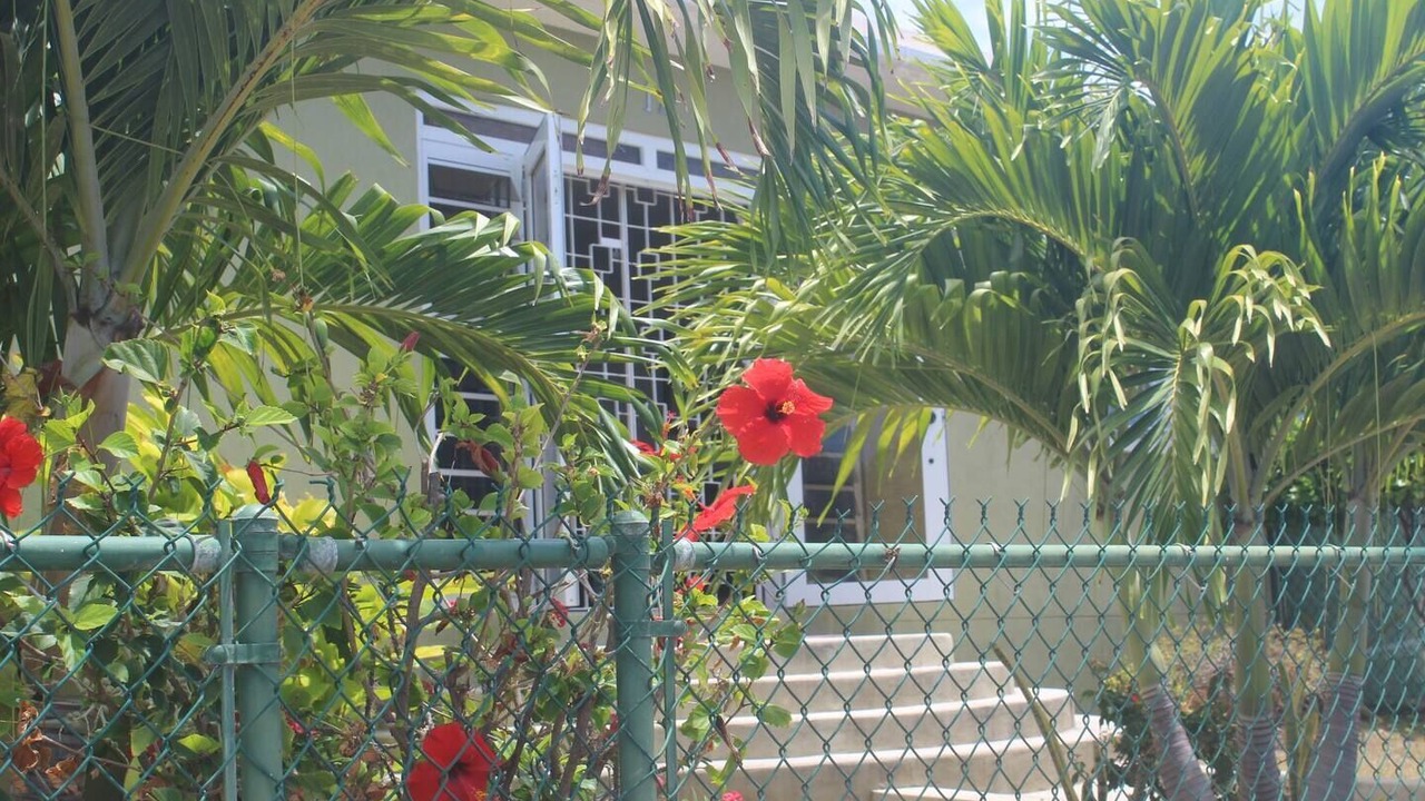 Photo of Others in Gibbons