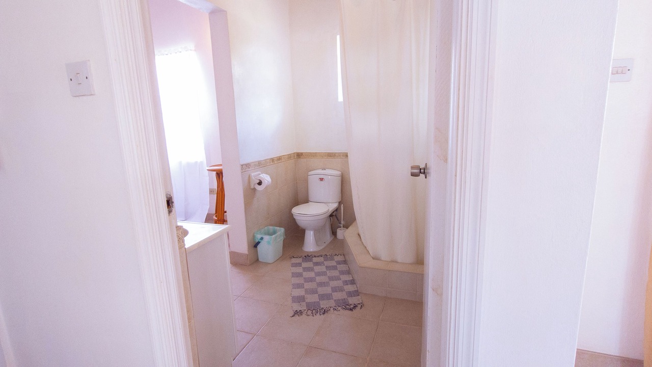 Photo of Bathroom in Saint Peter Parish