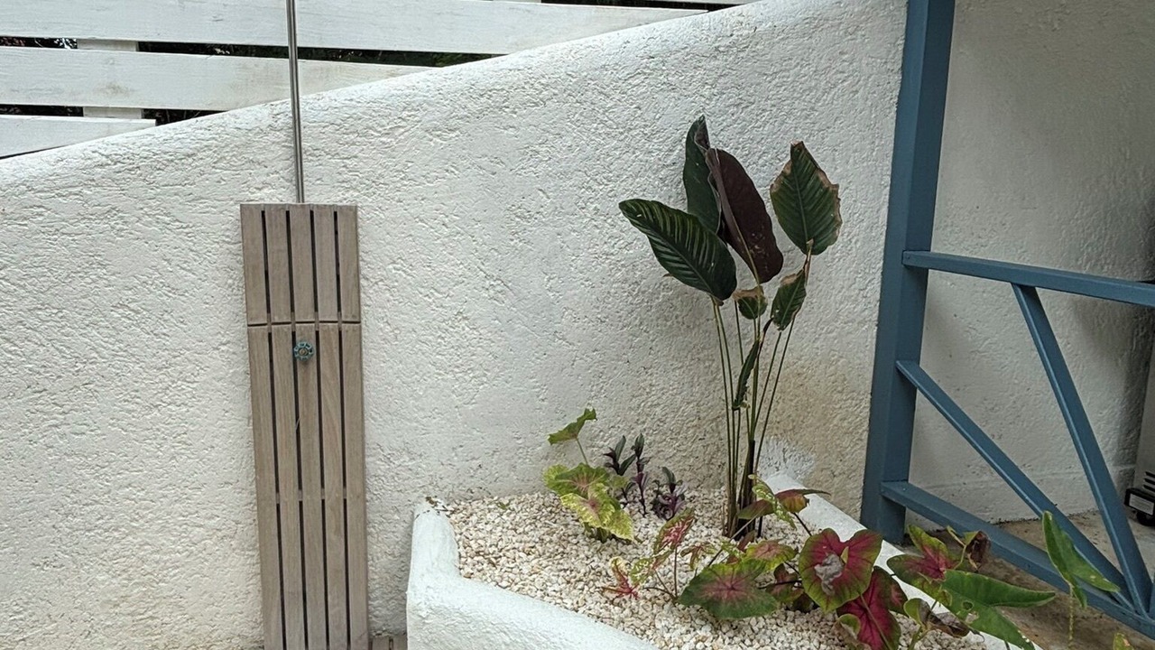 Photo of Outdoor in Mullins