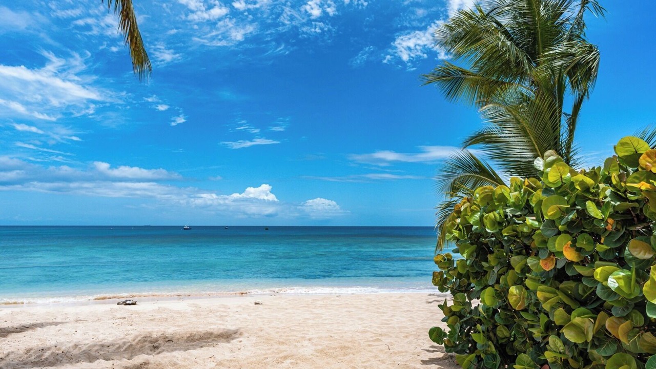 Photo of Others in Speightstown