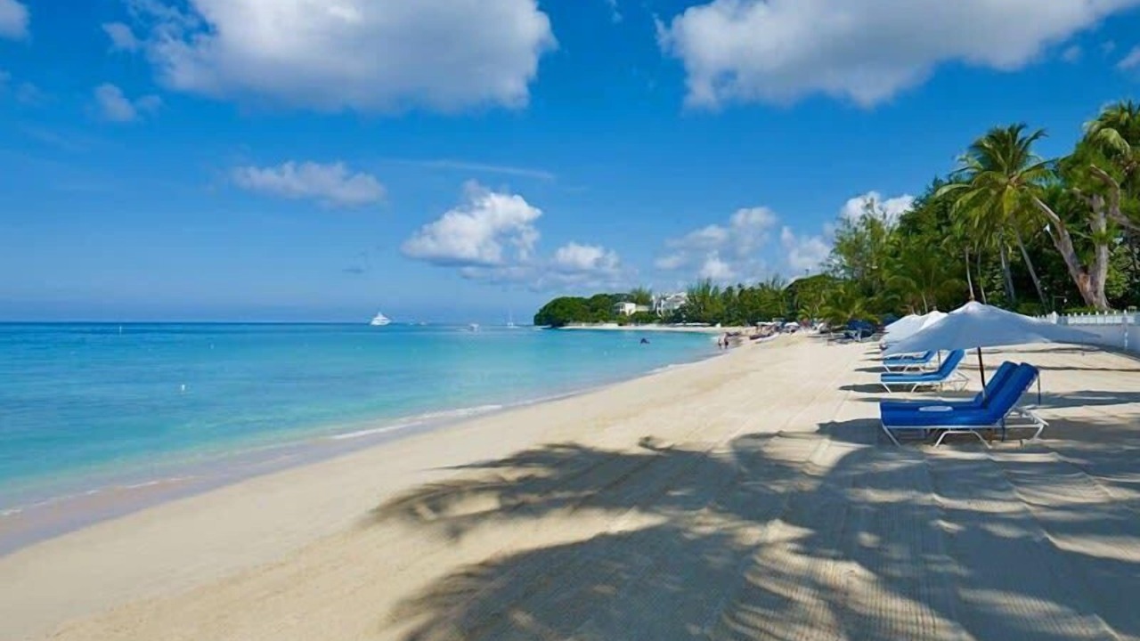 Photo of Others in Old Trees Bay