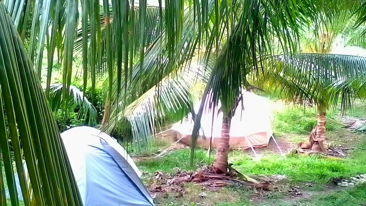 Photo of Outdoor in Newcastle