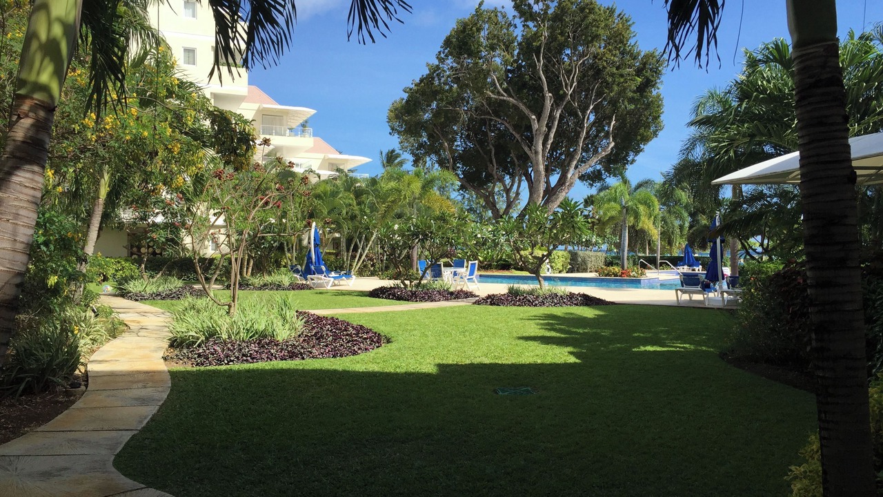 Photo of Outdoor in West Coast