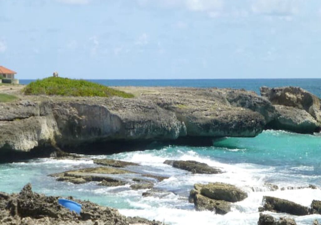 Photo of Others in Long Bay