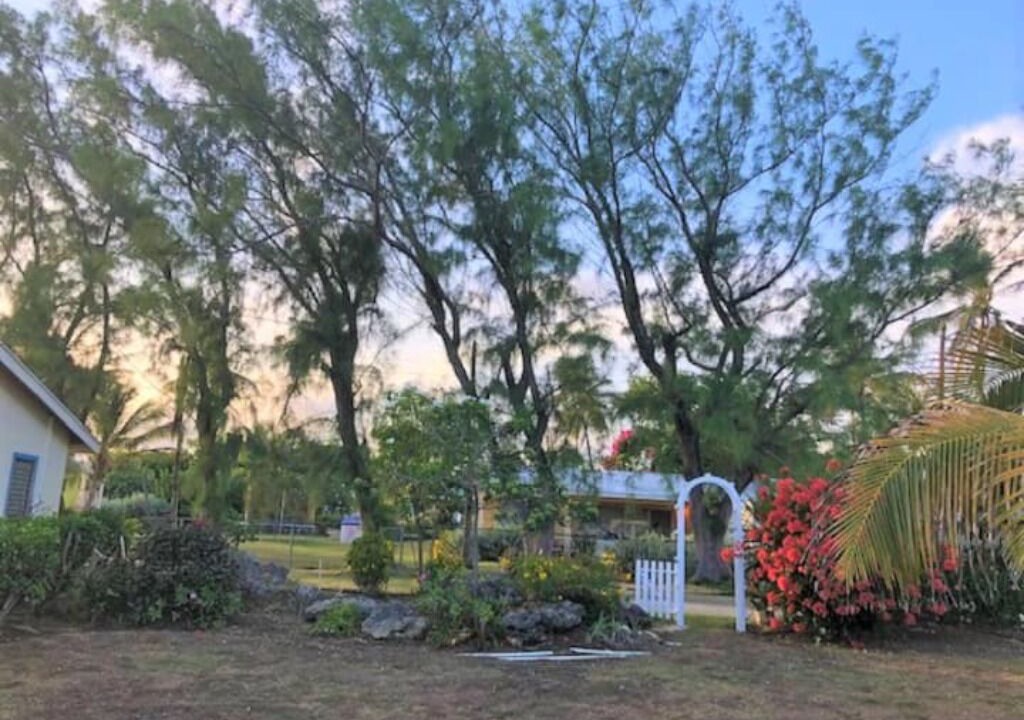 Photo of Outdoor in Long Bay