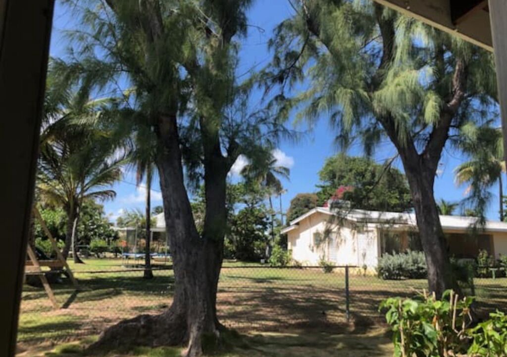 Photo of Outdoor in Long Bay