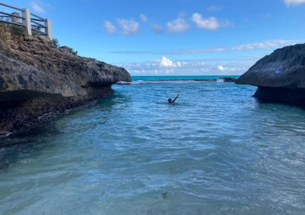 Photo of Others in Long Bay