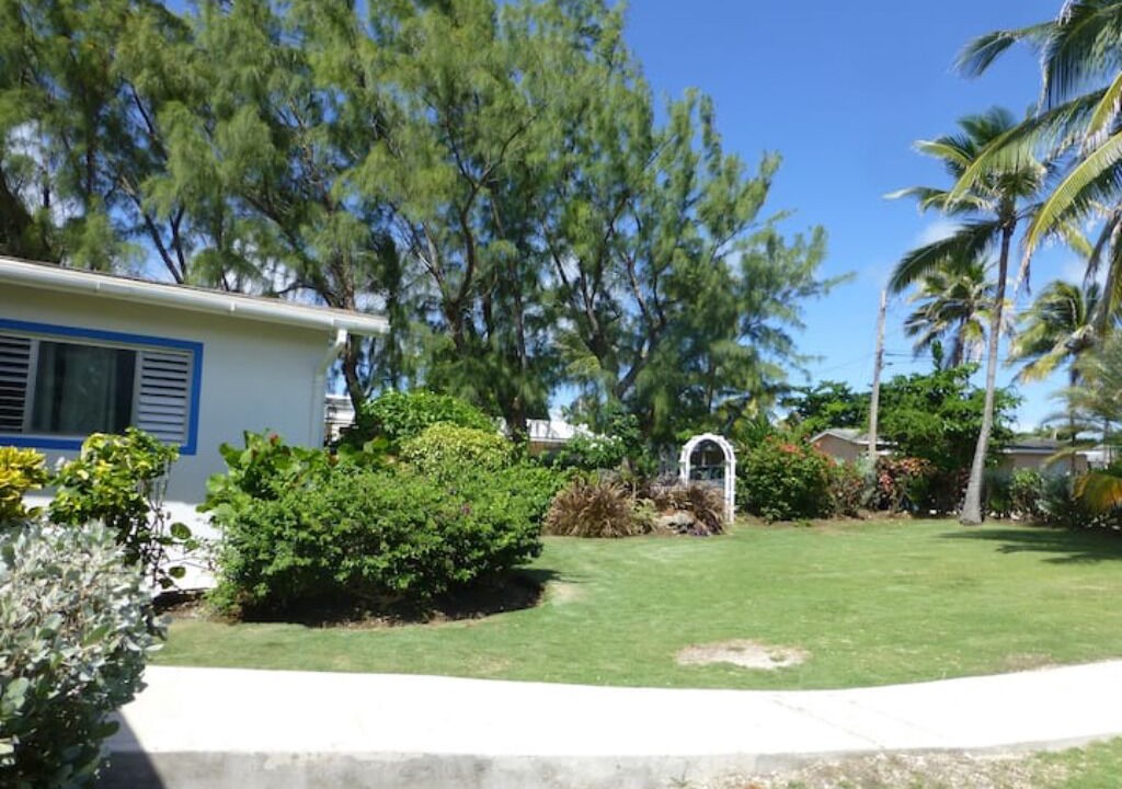 Photo of Outdoor in Long Bay