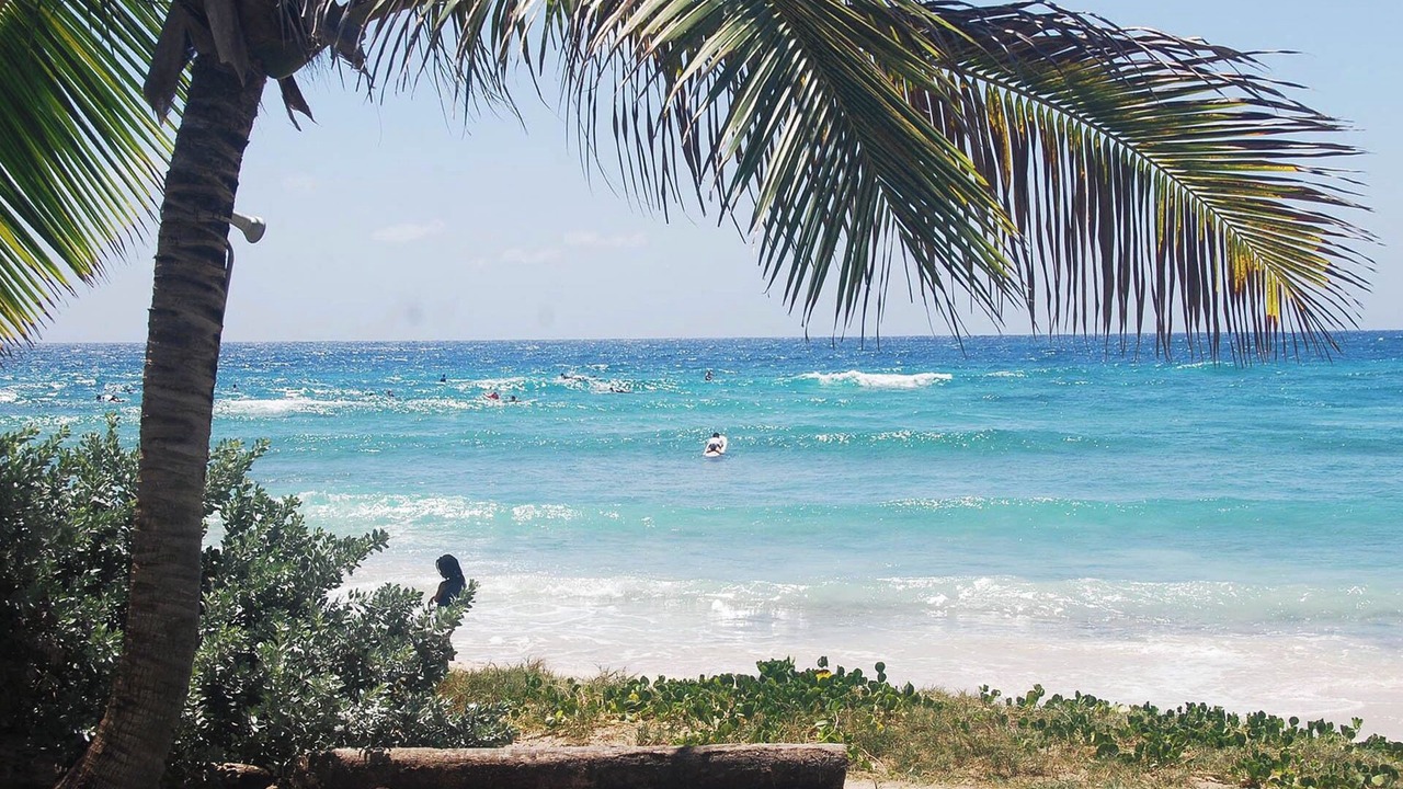 Photo of Others in Silver Sands