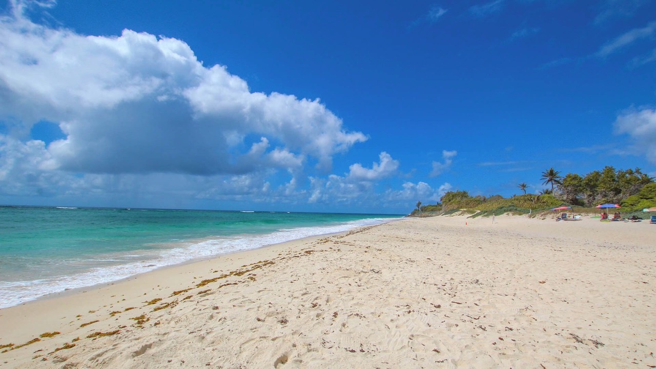 Photo of Others in Silver Sands