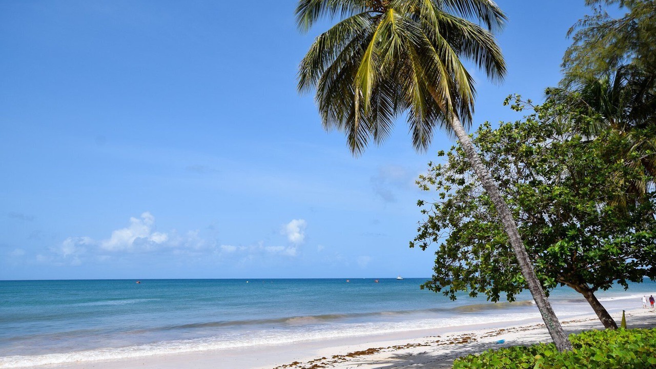 Photo of Others in Silver Sands