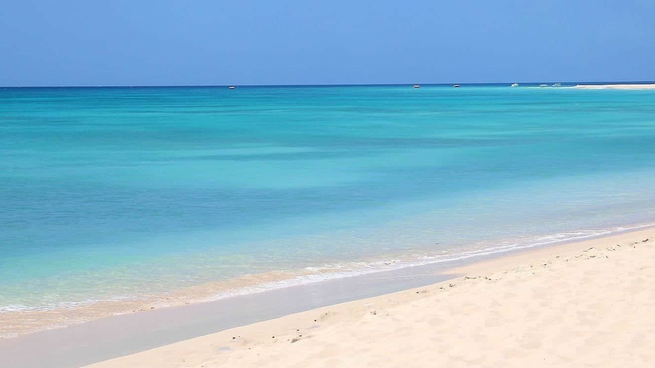 Photo of Others in Blue Waters