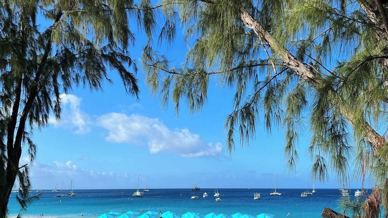 Photo of Others in Bridgetown