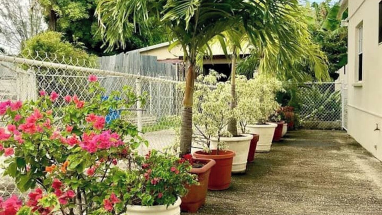 Photo of Outdoor in Oistins
