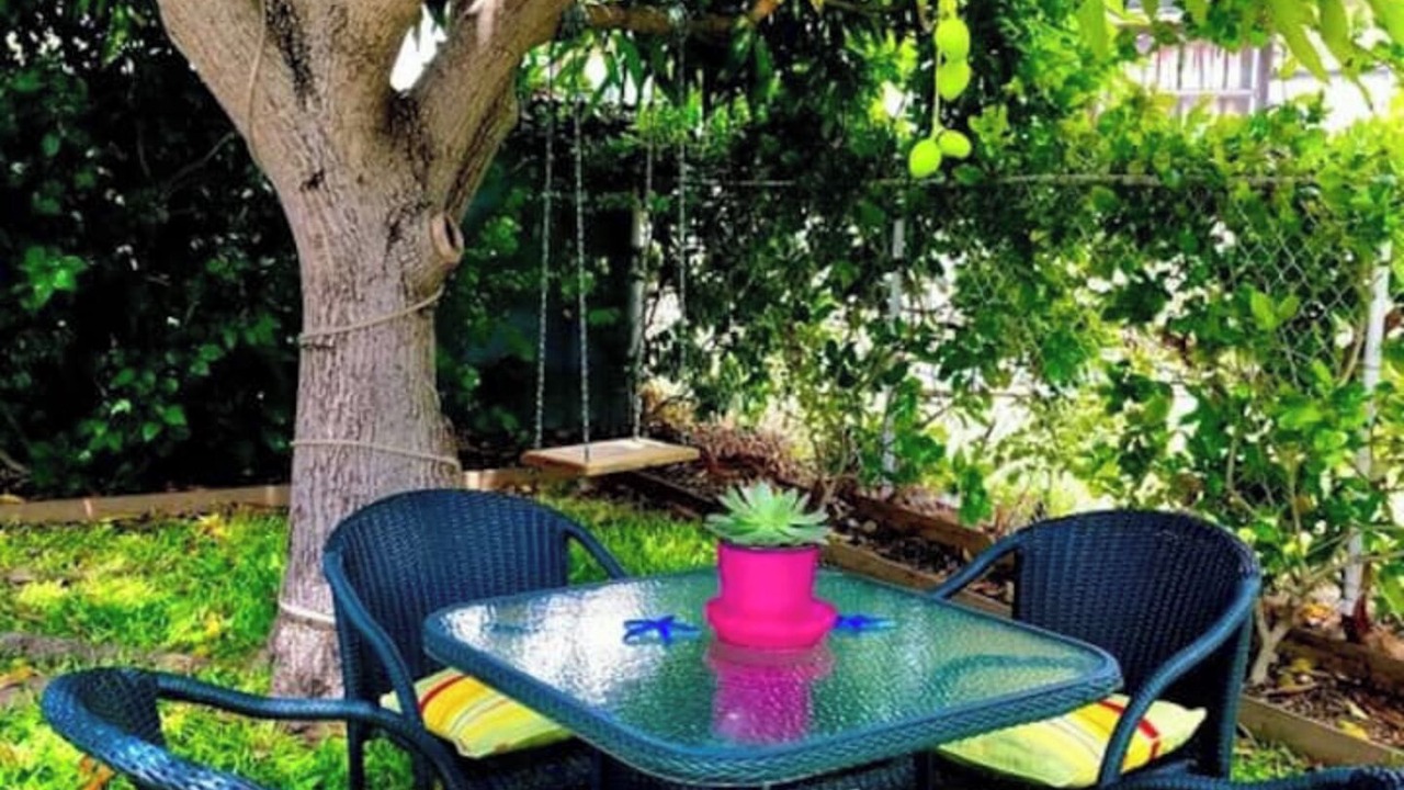 Photo of Outdoor in Oistins