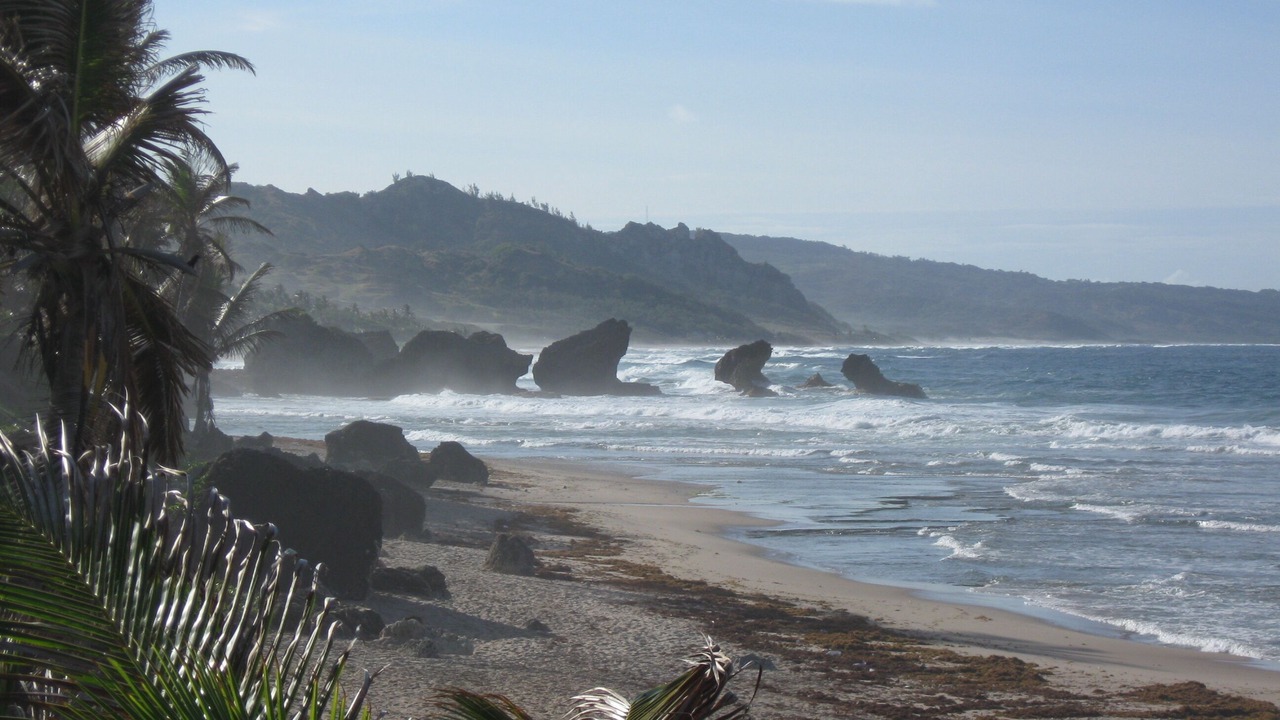 Photo of Others in Silver Sands