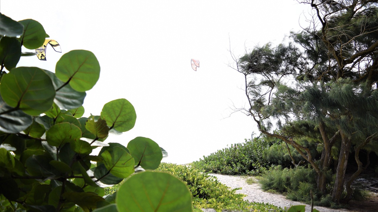 Photo of Outdoor in Silver Sands