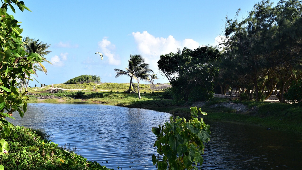 Photo of Outdoor in Silver Sands