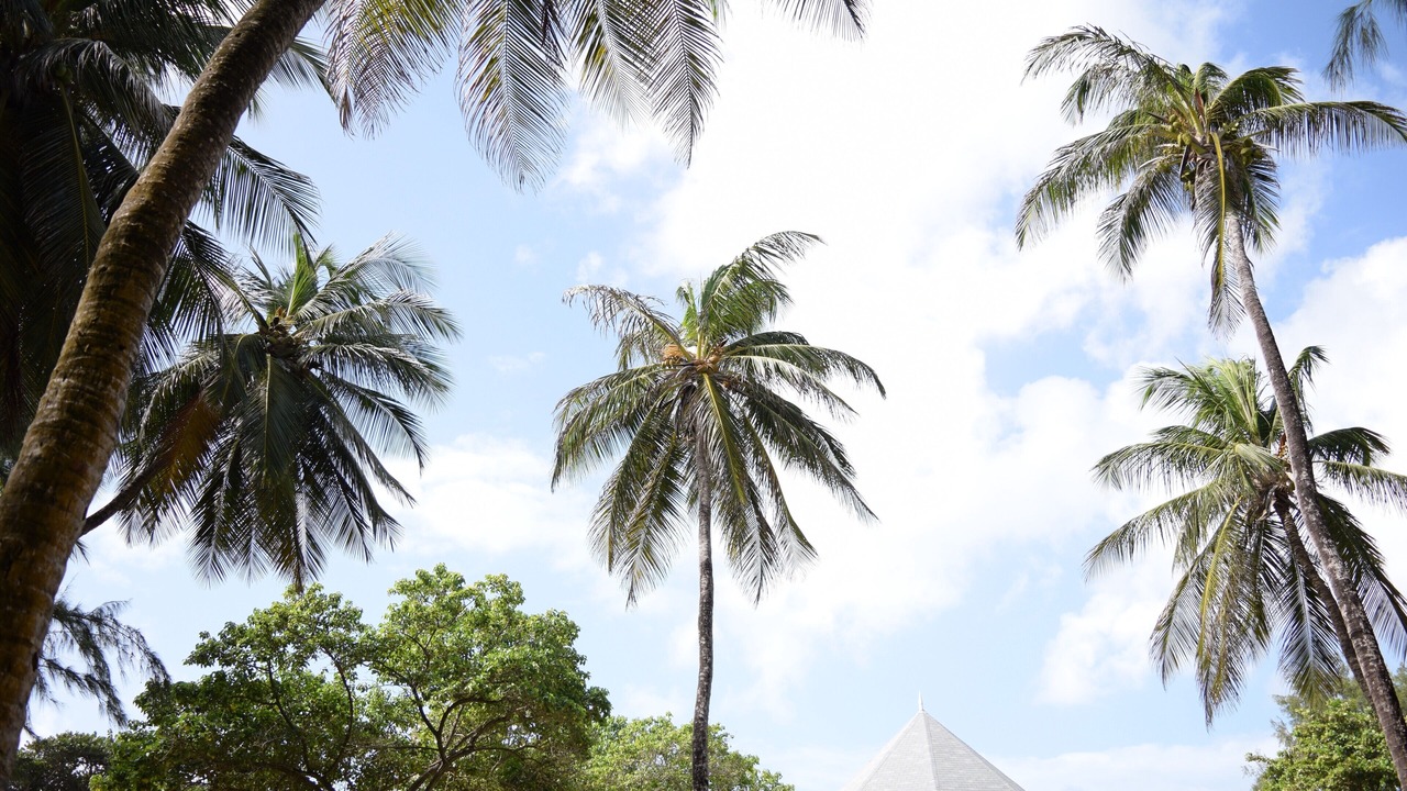 Photo of Outdoor in Silver Sands