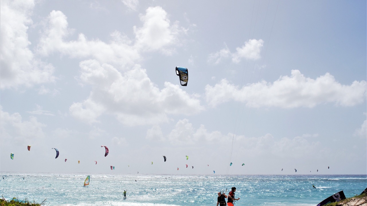Photo of Others in Silver Sands