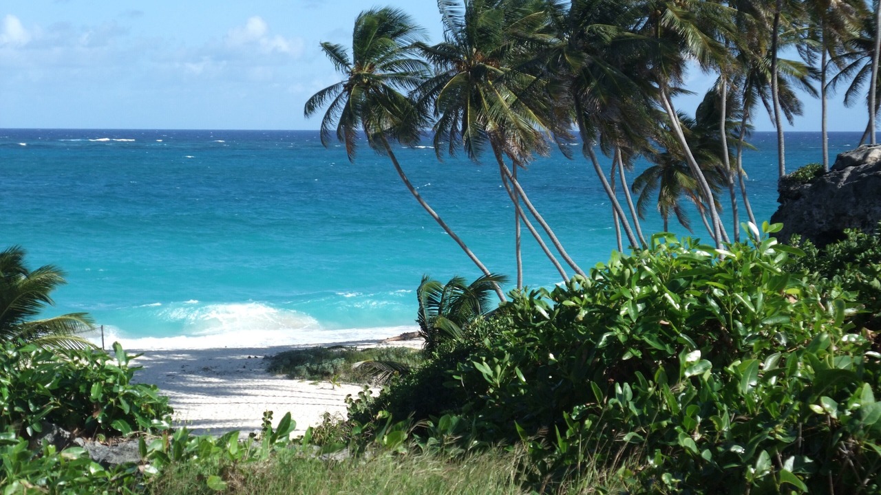 Photo of Others in Blue Waters