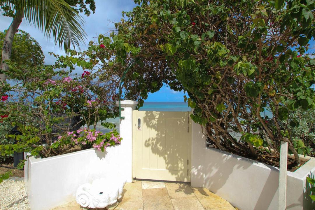 Photo of Others in Old Trees Bay