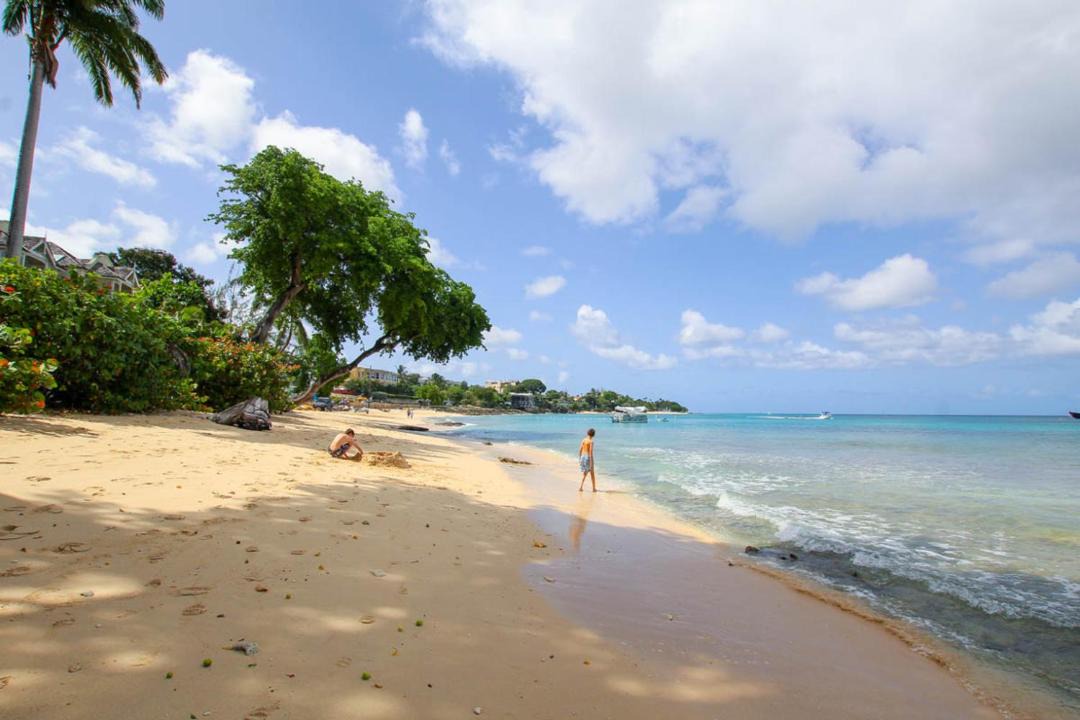 Photo of Others in Old Trees Bay