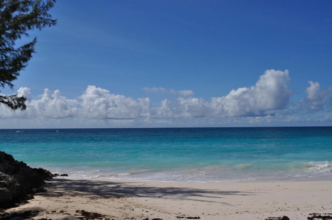Photo of Others in Silver Sands