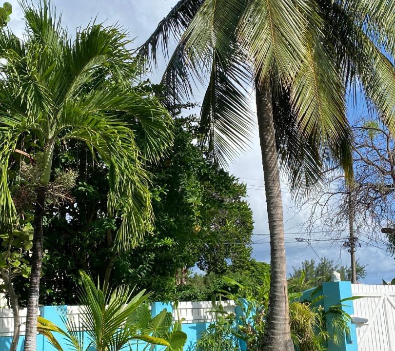 Photo of Others in Silver Sands