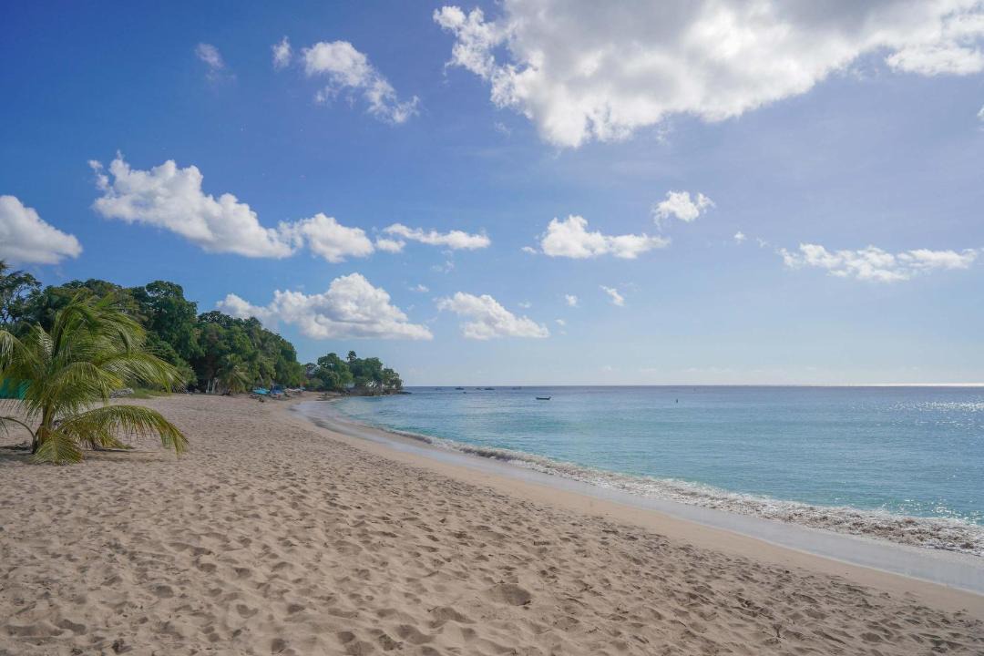 Photo of Others in Gibbes