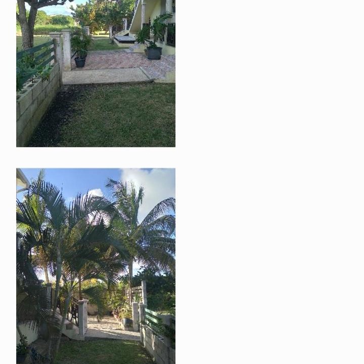 Photo of Others in Bridgetown
