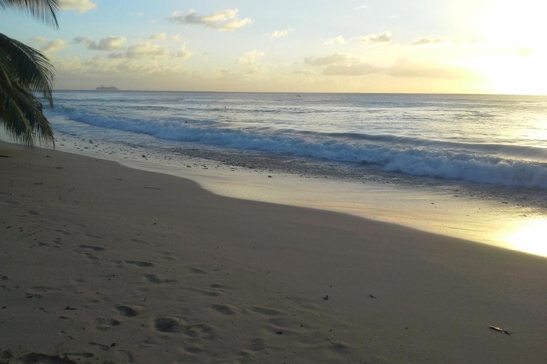 Photo of Outdoor in Weston